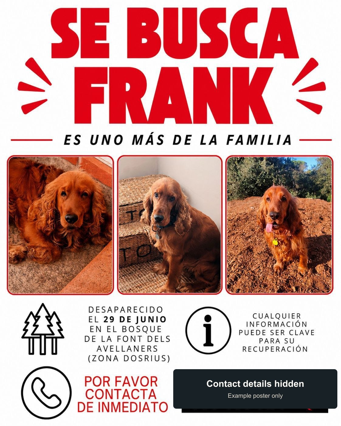 Frank's real missing-dog poster, contact details redacted