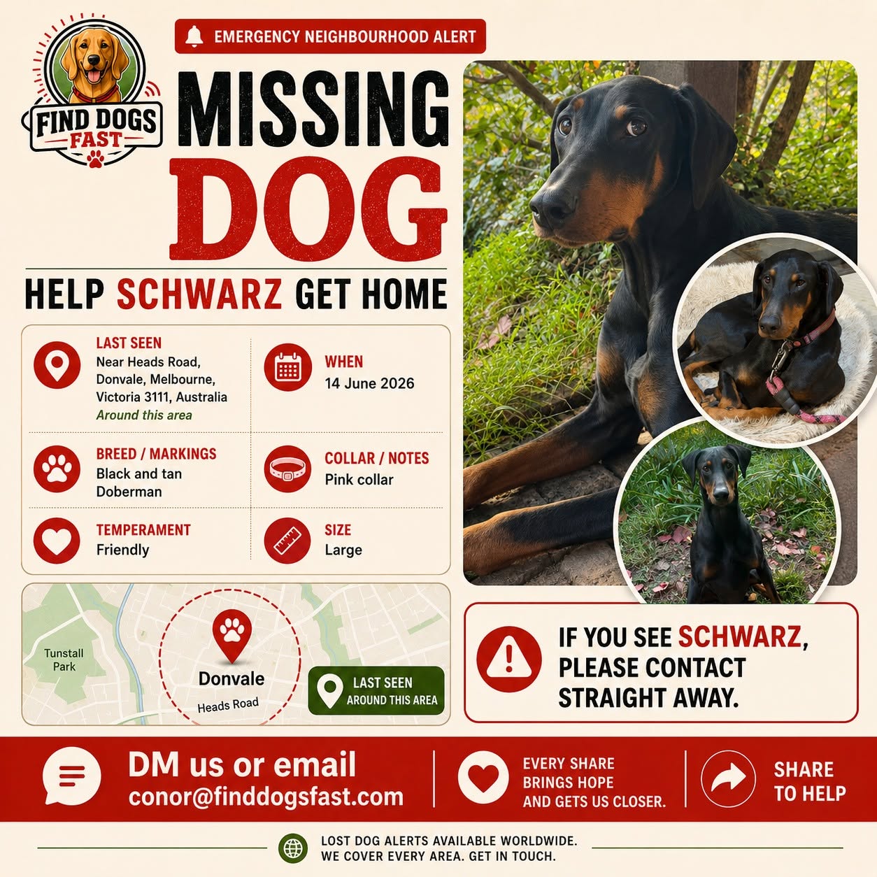 Missing-dog alert for Schwarz, a black and tan Doberman last seen in Donvale, Melbourne